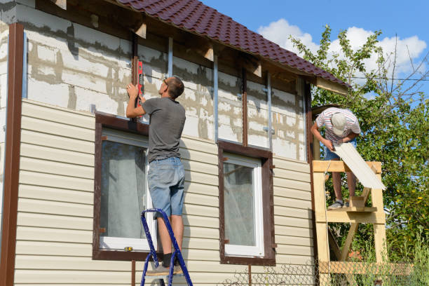 Best Stucco Siding  in Meridian, TX