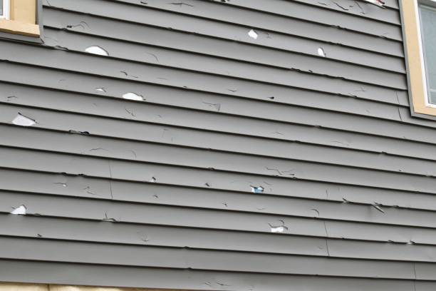 Reliable Meridian, TX Siding Installation Solutions